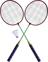 Набор для бадминтона Atemi, 2 ракетки + волан, сталь, зеленый, BAS-10