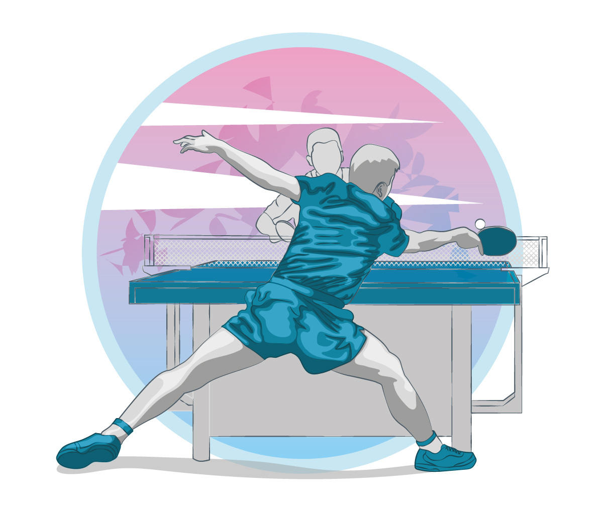 Настольный теннис Настольный теннис